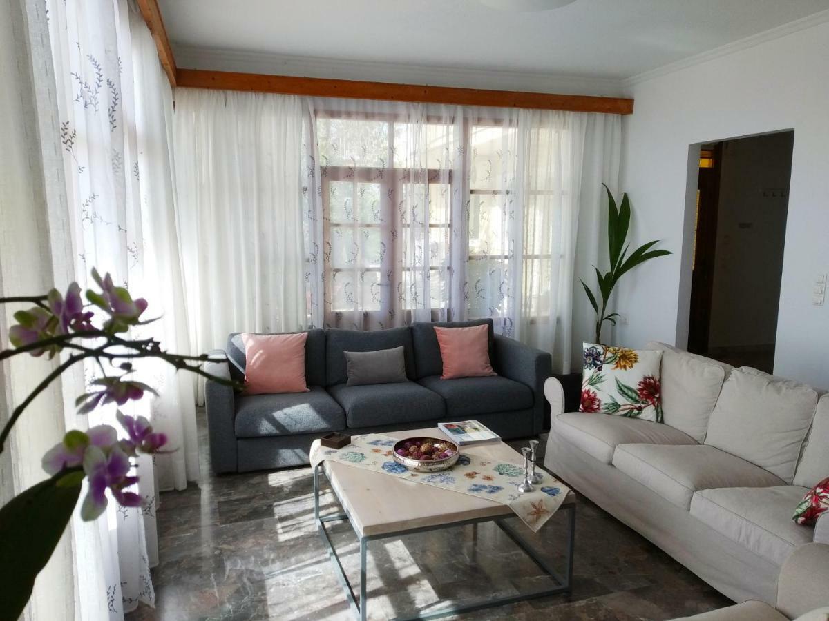 펠레카스 Kontis Apts 아파트 외부 사진